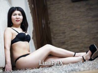LinaFeiX
