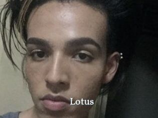 Lotus