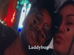 Laddybug