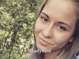 Ladybird