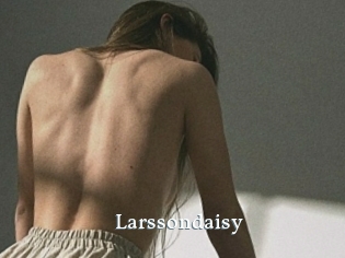 Larssondaisy