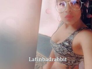 Latinbadrabbit