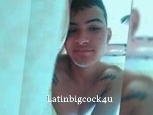 Latinbigcock4u