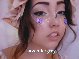 Lavendergrey