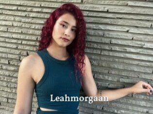 Leahmorgaan