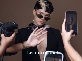 Leandrogooet