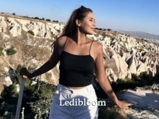Ledibloom