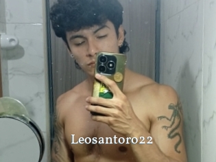 Leosantoro22