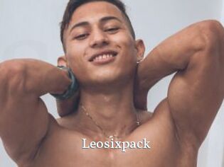 Leosixpack