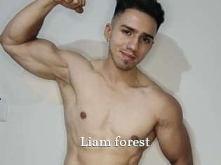 Liam_forest
