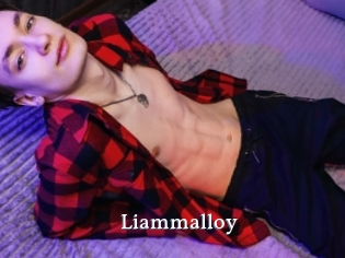 liammalloy SexyIdol