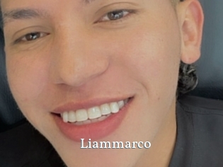 liammarco SexyIdol