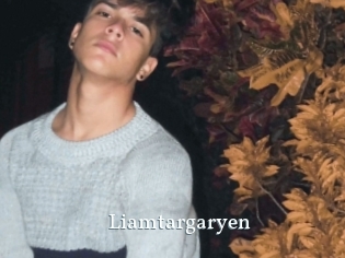 Liamtargaryen