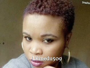 Lilinedu509