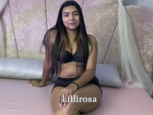 Lillirosa