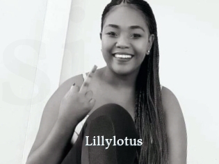 Lillylotus