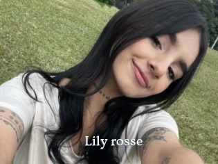 Lily_rosse