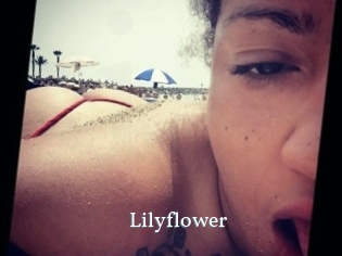 lilyflower SexyIdol
