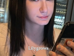 Lilygrows