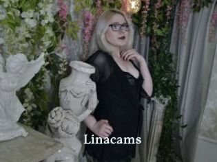 Linacams