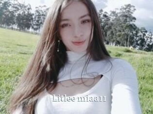 Litlee_miaa11