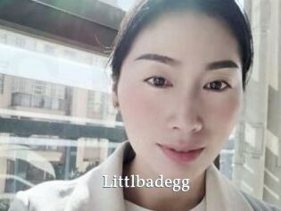Littlbadegg