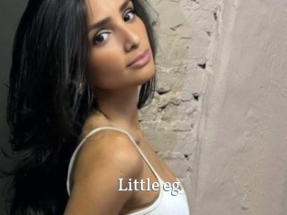 Little_eg
