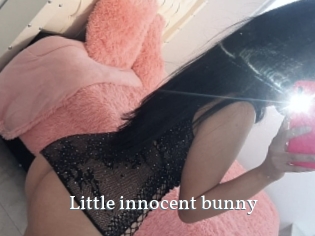 Little_innocent_bunny