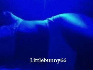 Littlebunny66