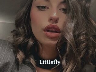 Littlefly