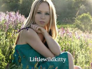 littlewildkitty SexyIdol