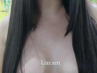 Lizcam