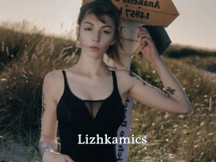 Lizhkamics