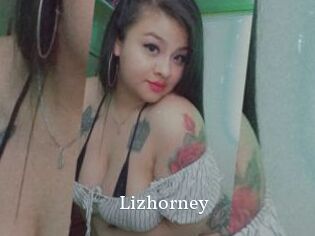Lizhorney