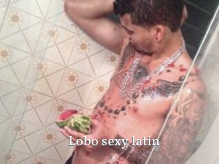Lobo_sexy_latin
