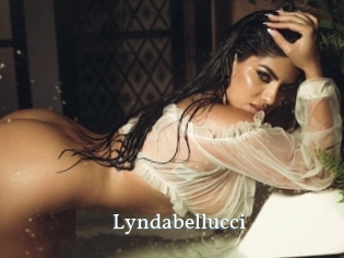 Lyndabellucci