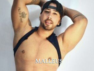 MALLEUS