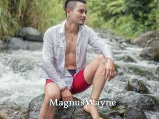 MagnusWayne