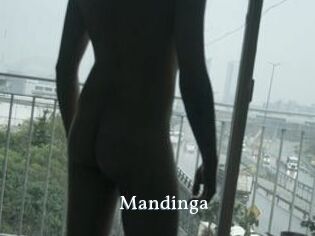 Mandinga
