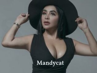 Mandycat