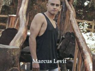 Marcus_Levit