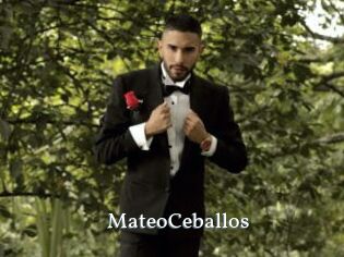 MateoCeballos