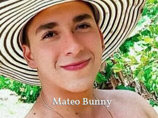 Mateo_Bunny