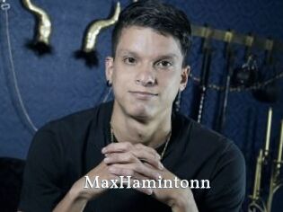 MaxHamintonn