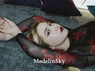 MedelinSky