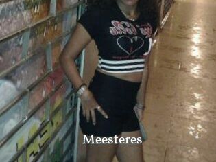 Meesteres