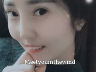 Meetyouinthewind