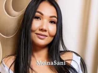 MeinaSani