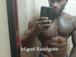 Miguel_Rodriguez