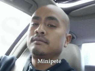 Minipete
